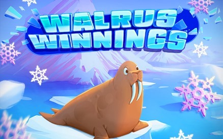 Walrus Winnings